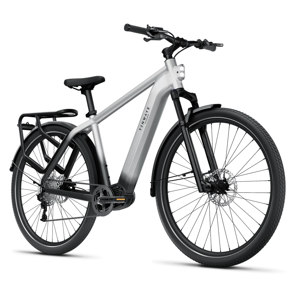Elektrijalgratas TENWAYS AGO X, 29″ Gradient Silver (L)