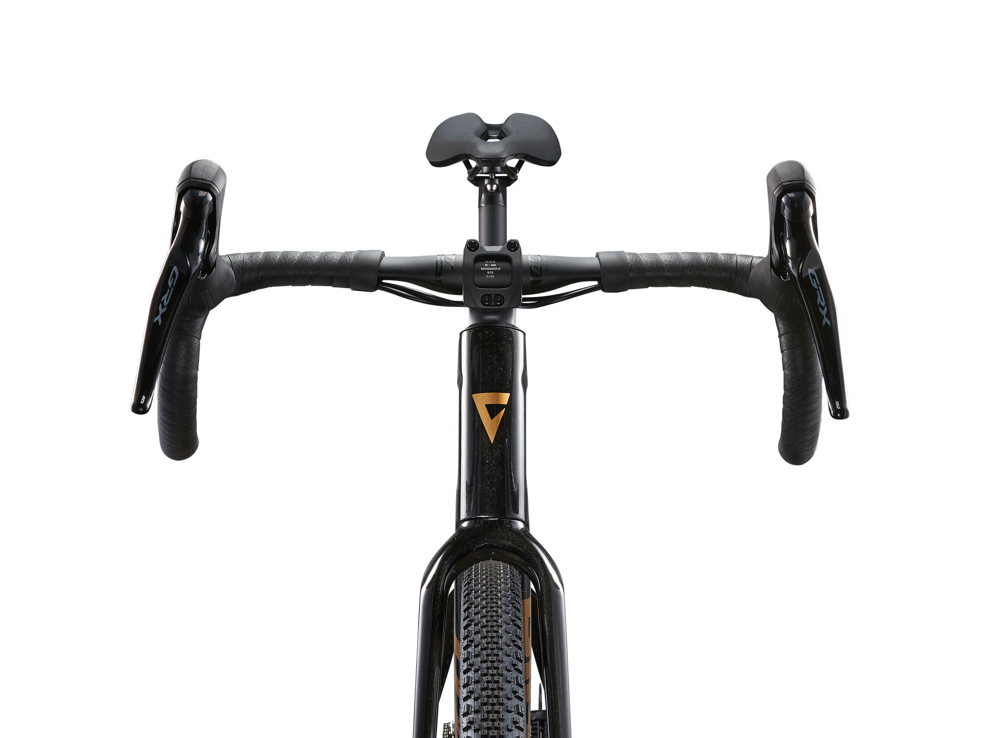 Gravel jalgratas GIANT Revolt Advanced 3 (2025) Panther (L)