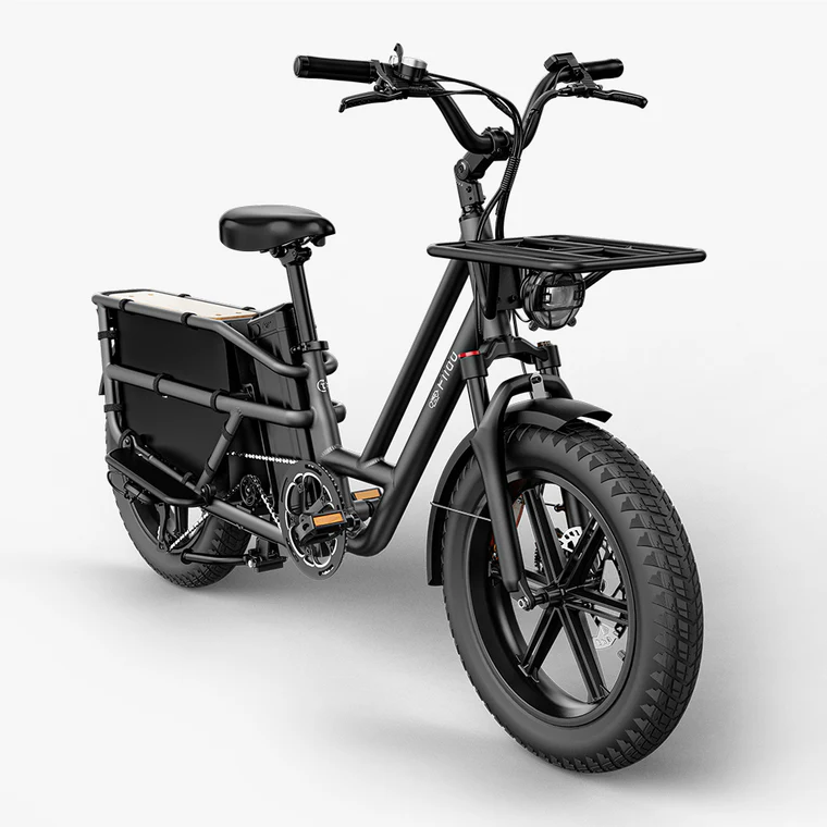 Elektriline kargoratas FIIDO T2 Longtail Cargo, Grey