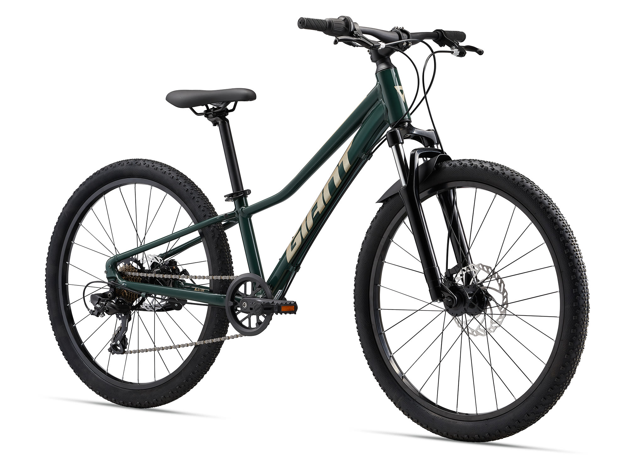 Laste jalgratas GIANT Talon 24, Trekking Green