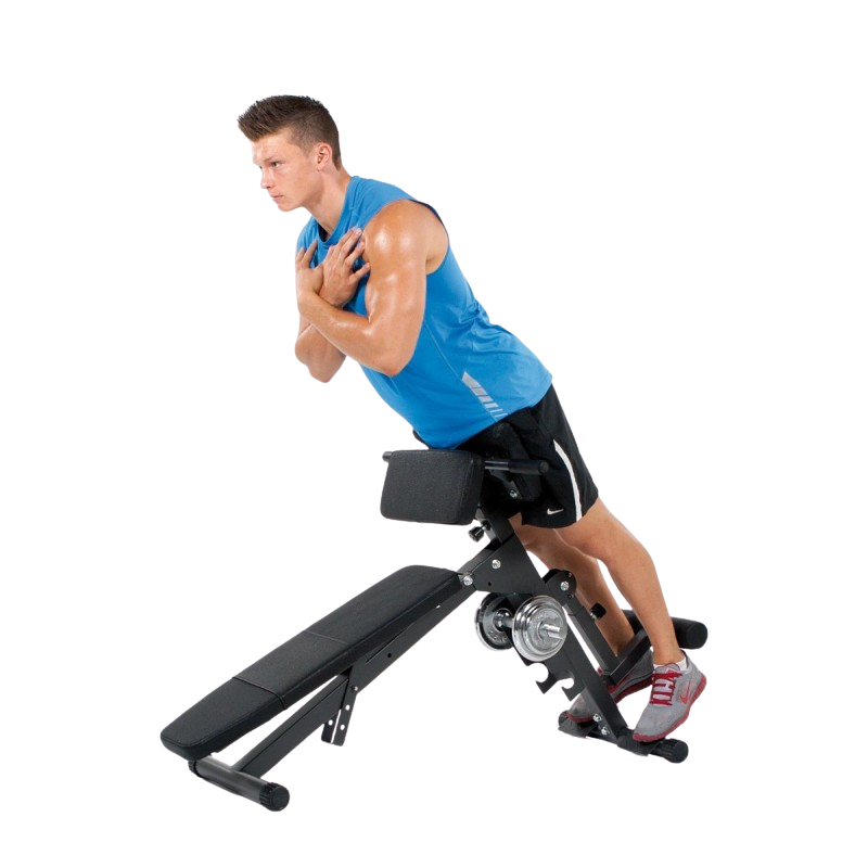 Treeningpink FINNLO by Hammer Ab&Back Trainer