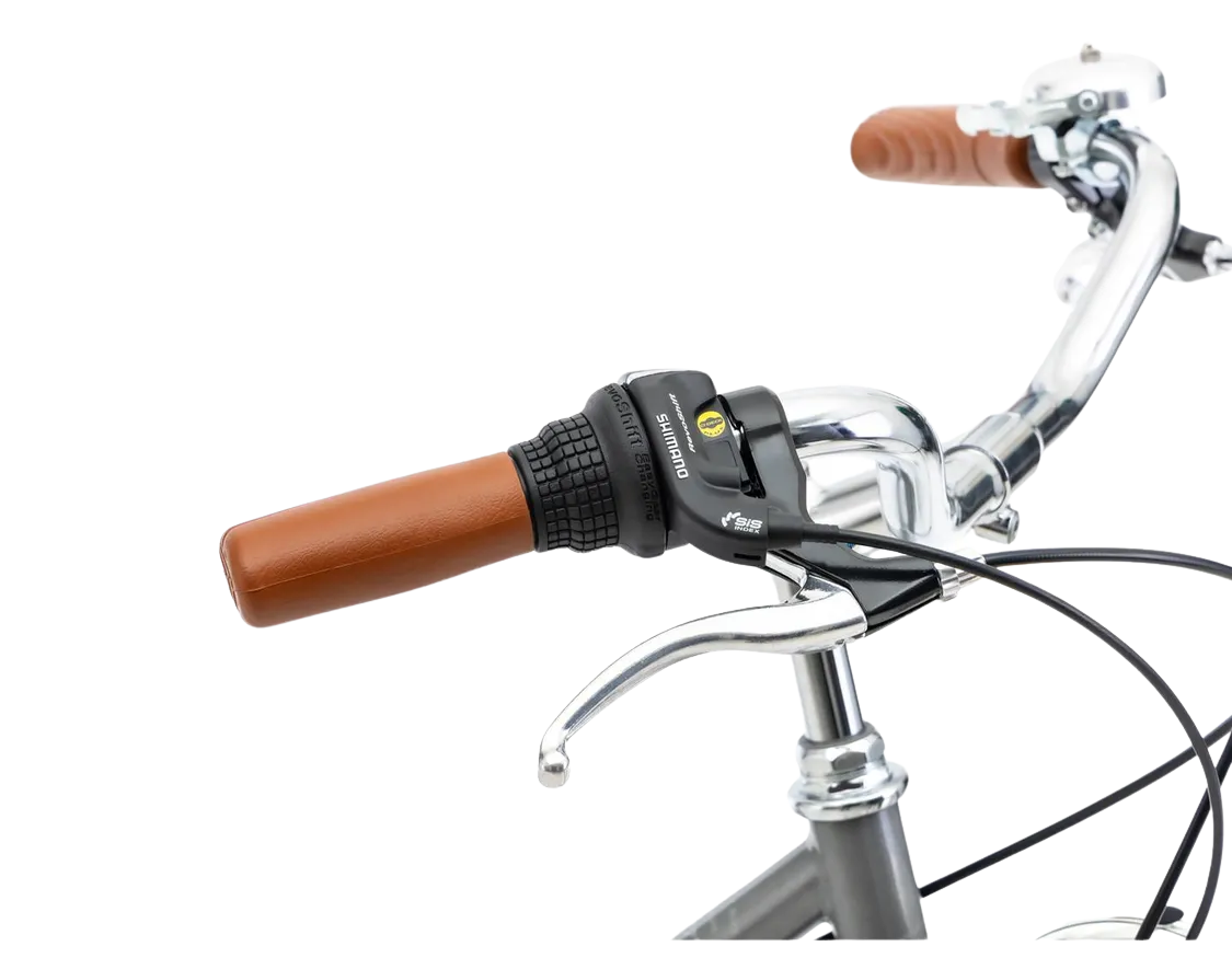 Jalgratas ROMET Vintage Eco D, grafiit (M)