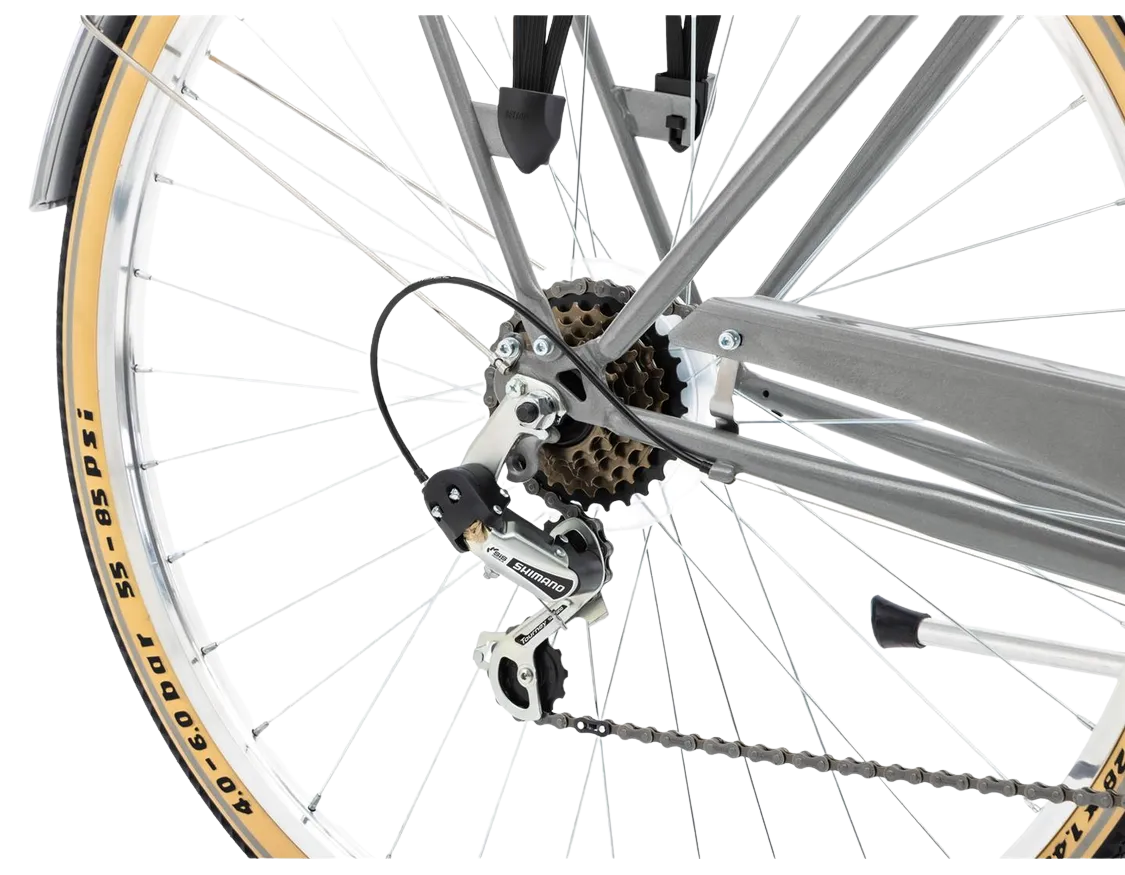 Jalgratas ROMET Vintage Eco D, grafiit (M)