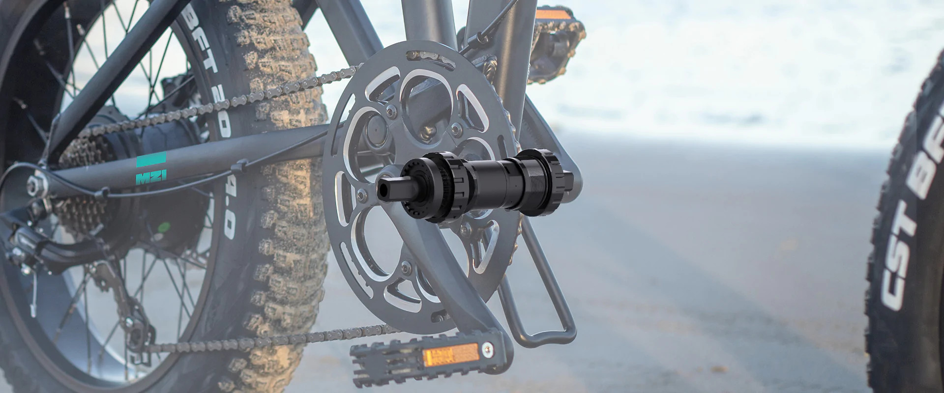 Elektrijalgratas Fiido M21 (48 V / 11,6 Ah), kokkupandav