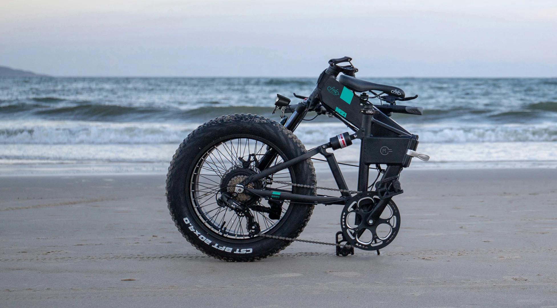 Elektrijalgratas Fiido M21 (48 V / 11,6 Ah), kokkupandav