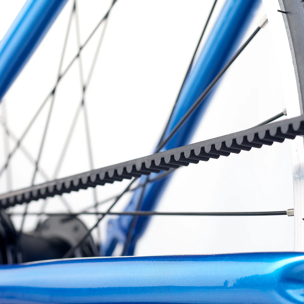 Ülikerge noorte jalgratas ACADEMY Grade 6 Belt, 26″ Blue