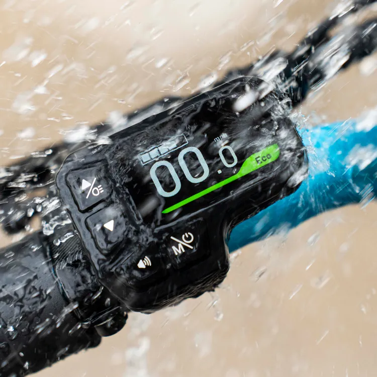 Kokkupandav elektrijalgratas FIIDO M1 Pro, roheline