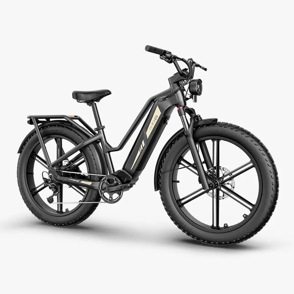 Elektrijalgratas FIIDO Titan, Grey