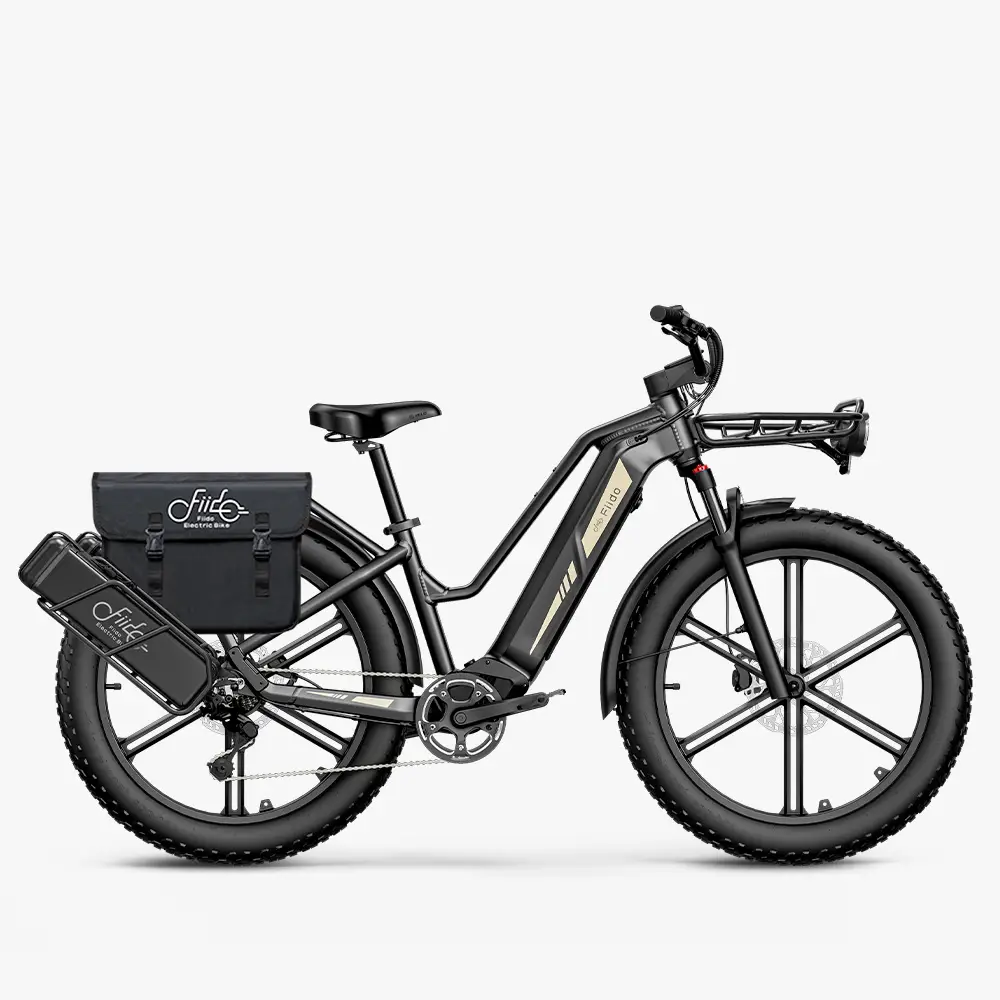 Elektrijalgratas FIIDO Titan, Grey
