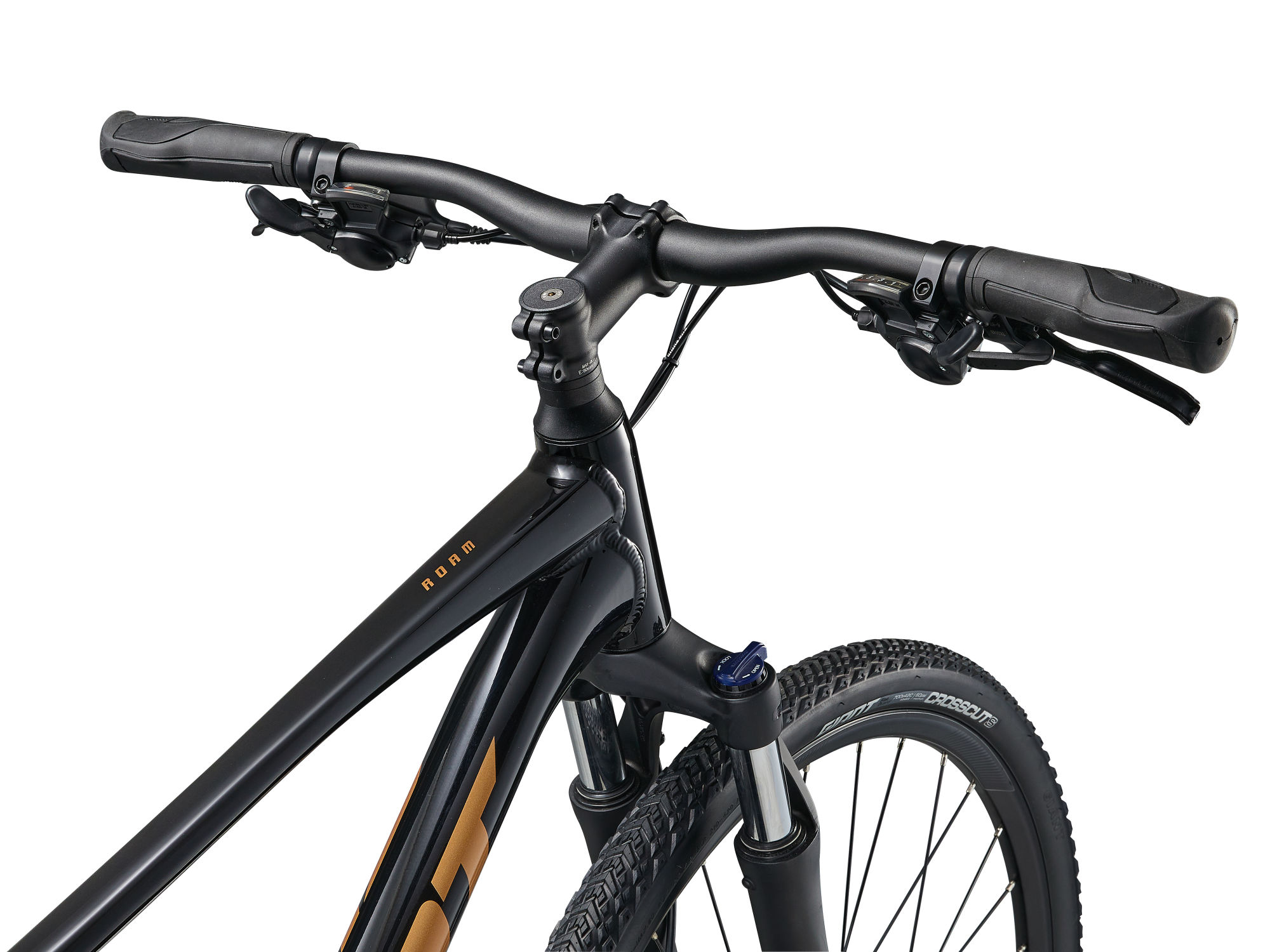 Jalgratas GIANT Roam 4, Black (XL)
