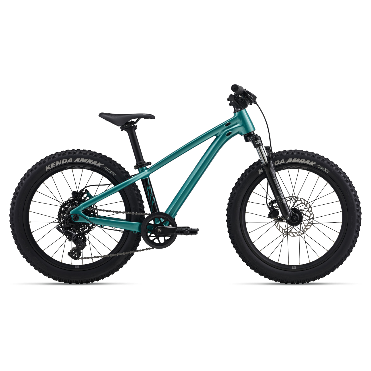 Laste jalgratas GIANT STP 20 FS, Teal