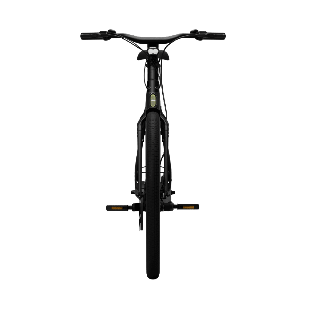 Elektrijalgratas TENWAYS CGO009, Midnight Black